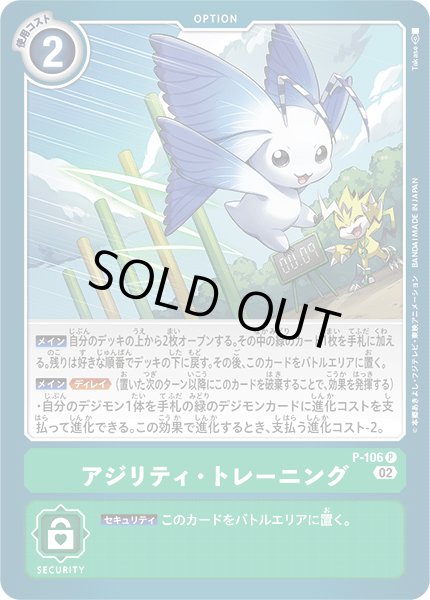 画像1: アジリティ・トレーニング［P］ (1)