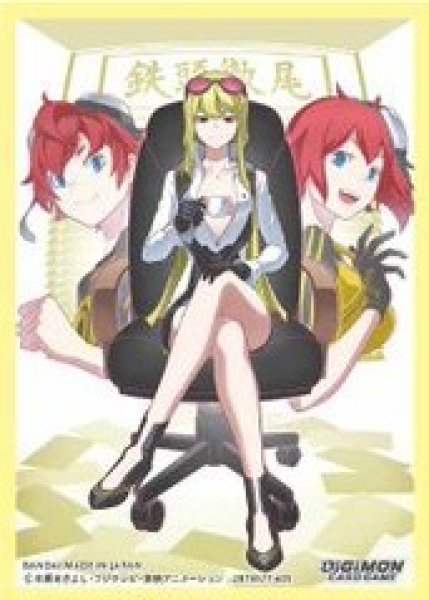 画像1: 【予約商品】1/17発売オフィシャルスリーブ02「サイバースルゥース」 (1)