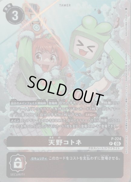 画像1: 天野コトネ［P］ (1)