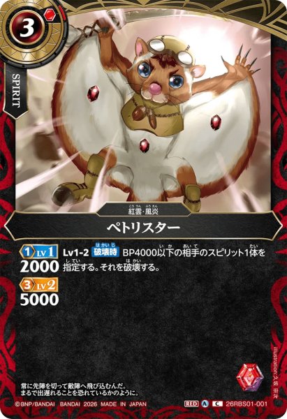 画像1: ペトリスター［C］ (1)