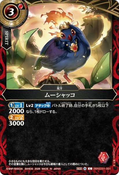 画像1: ムーシャッコ［C］ (1)