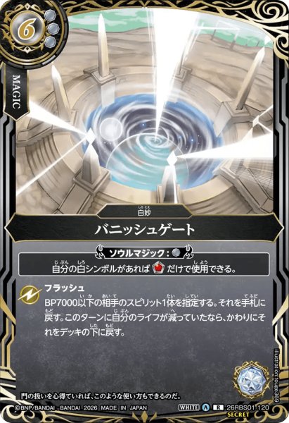 画像1: パニッシュゲート［R/SECRET］ (1)