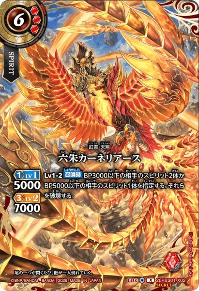 画像1: 六朱カーネリアース［X/SECRET］ (1)