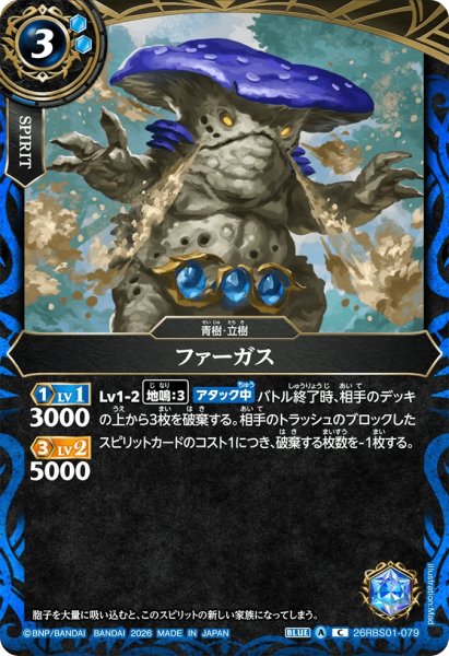 画像1: ファーガス［C］ (1)