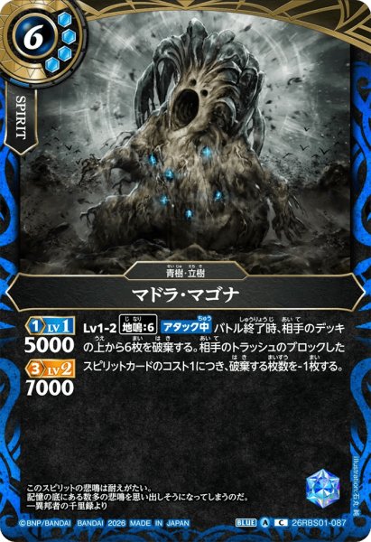 画像1: マドラ・マゴナ［C］ (1)