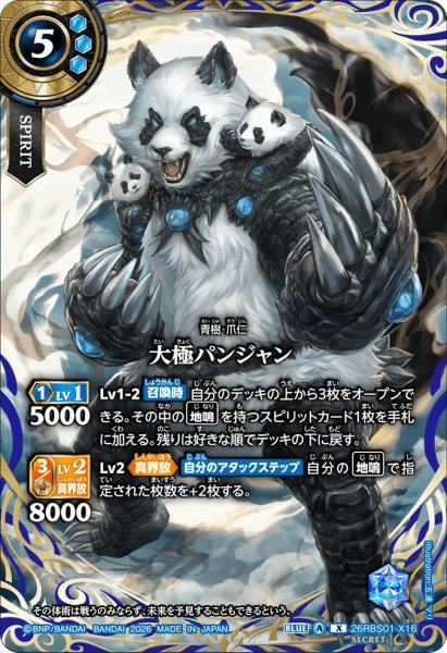 画像1: 大極パンジャン［X/SECRET］ (1)