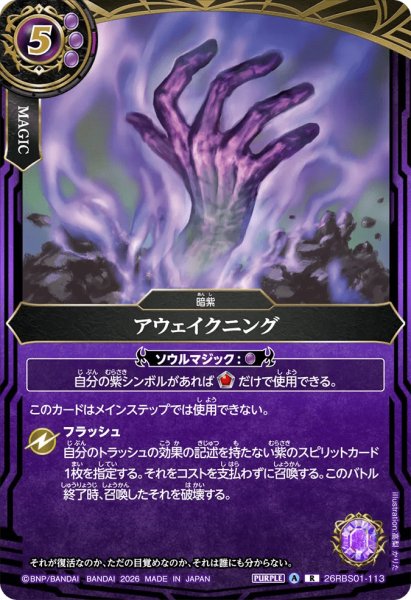 画像1: アウェイクニング［R］ (1)