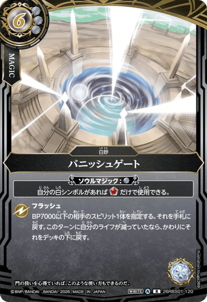 画像1: パニッシュゲート［R］ (1)