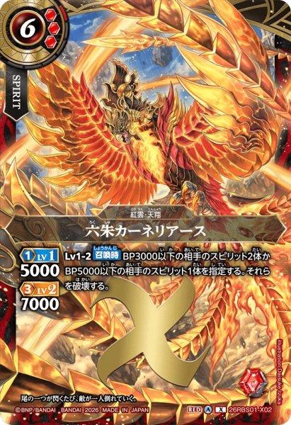 画像1: 六朱カーネリアース［X］ (1)