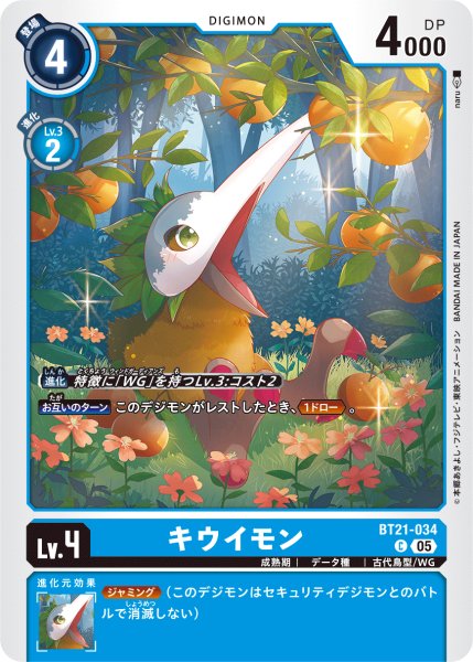 画像1: キウイモン［C］ (1)