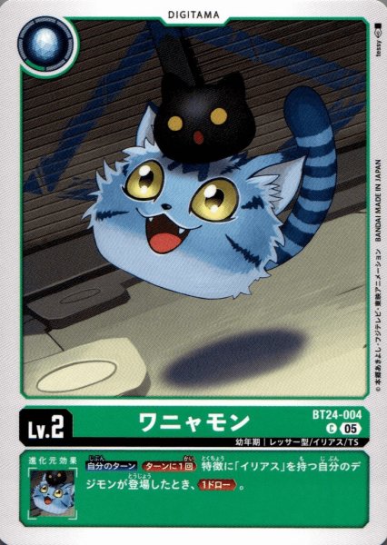 画像1: ワニャモン［C］ (1)