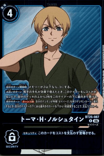 画像1: トーマ・H・ノルシュタイン［R］ (1)