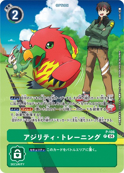 画像1: アジリティ・トレーニング［P/パラレル］ (1)