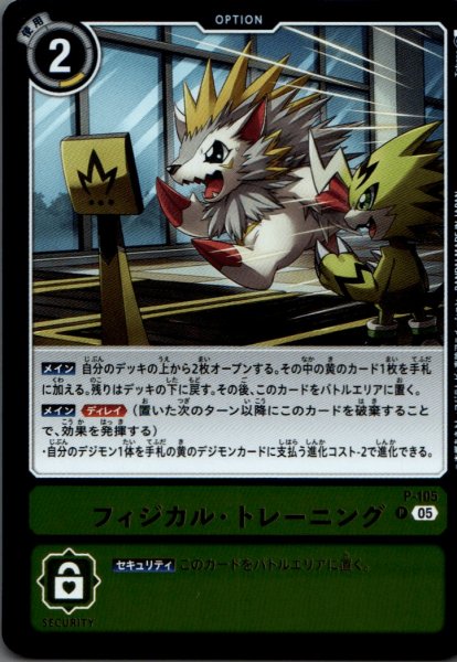 画像1: フィジカル・トレーニング［P］ (1)